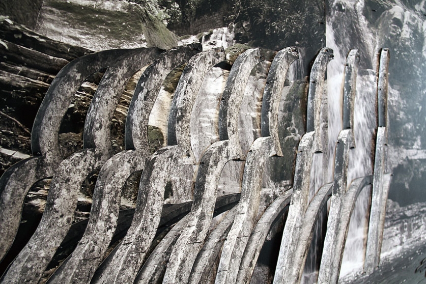 http://www.makisale.mirunadragan.com/files/gimgs/th-6_IMG_2473_Xilitla_W.jpg