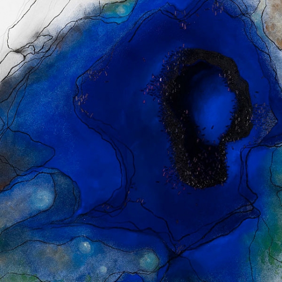 http://www.makisale.mirunadragan.com/files/gimgs/th-23_Erratics-Draw2-detail-web_v2.jpg