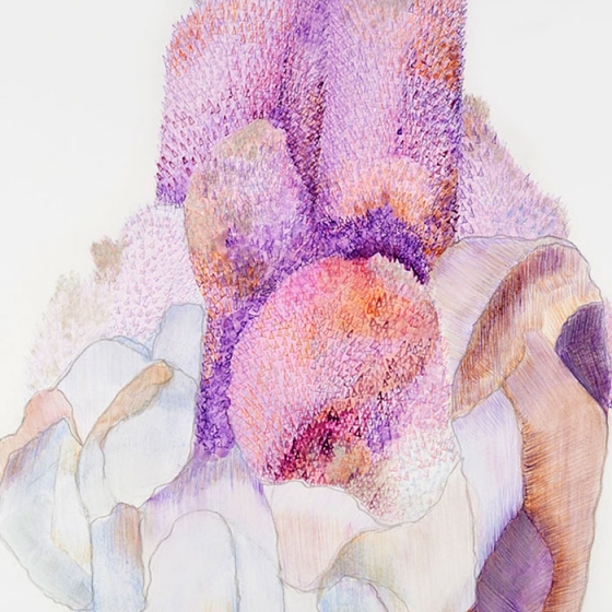 http://www.makisale.mirunadragan.com/files/gimgs/th-23_Erratics-Draw3-detail-web_v2.jpg